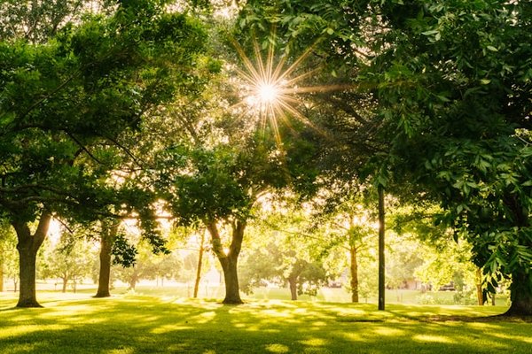 Comment les initiatives de tourisme vert peuvent-elles contribuer à la protection de l'environnement ?
